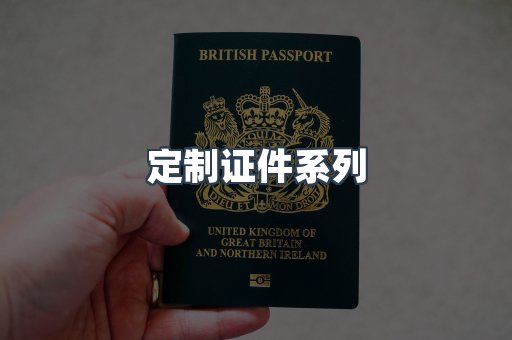 定制证件系列